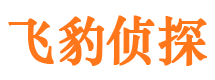 谷城婚外情调查取证